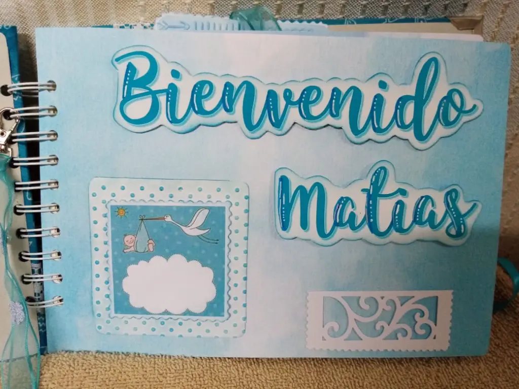 ALBUM NIÑO   (6).webp