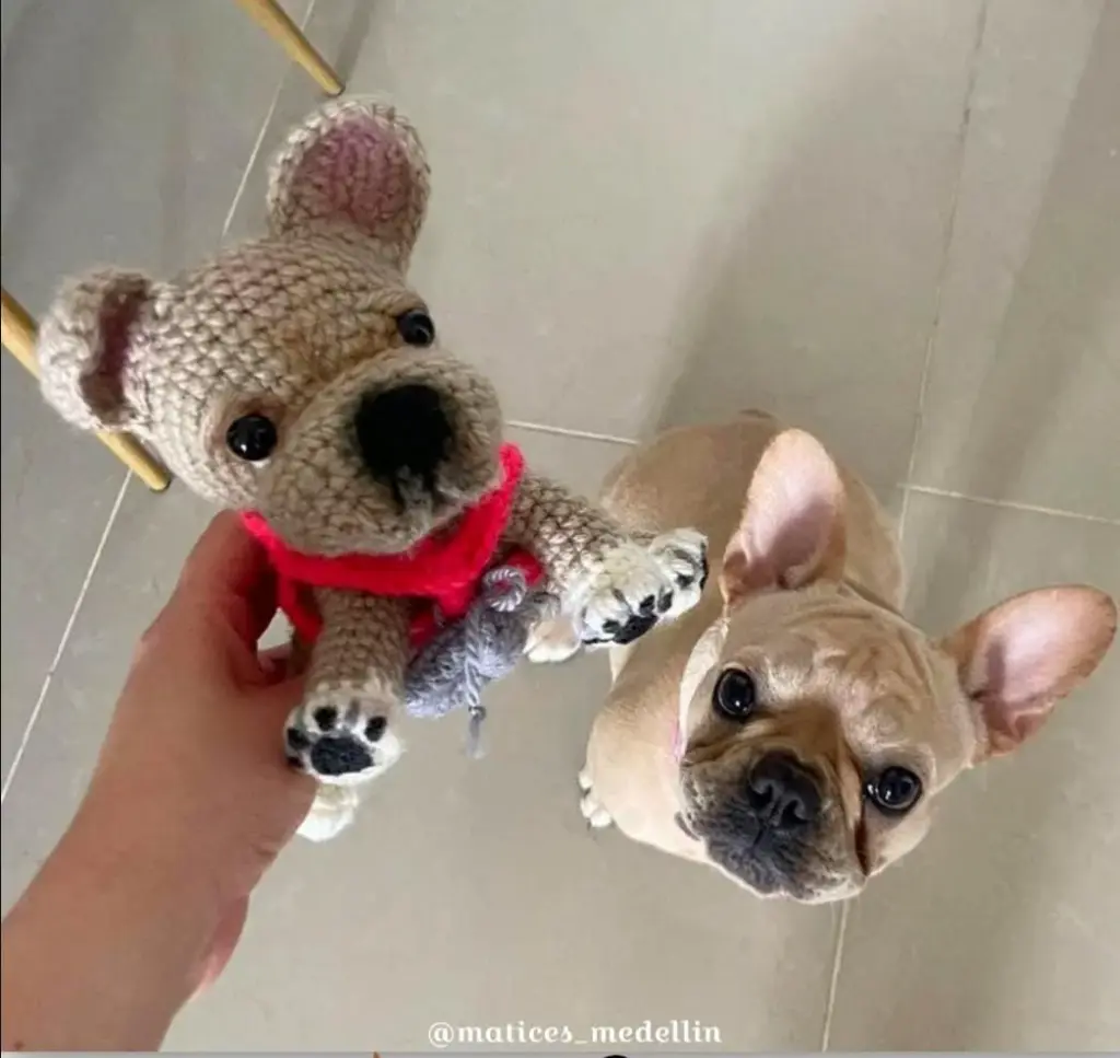 WhatsApp Image 2025-10-10 at 8.56.13 PM.webp